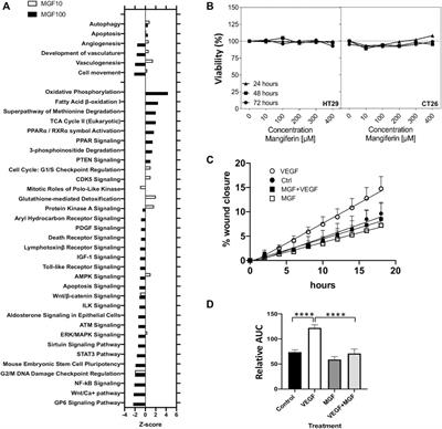 Antiproliferative, Antiangiogenic, and Antimetastatic Therapy Response by Mangiferin in a Syngeneic Immunocompetent Colorectal Cancer Mouse Model Involves Changes in Mitochondrial Energy Metabolism